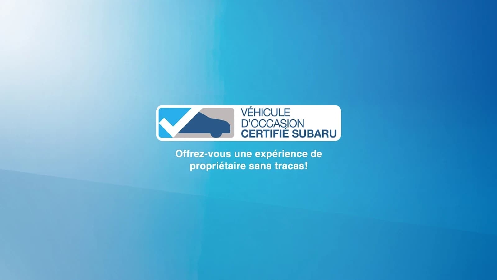 Personne conduisant une voiture