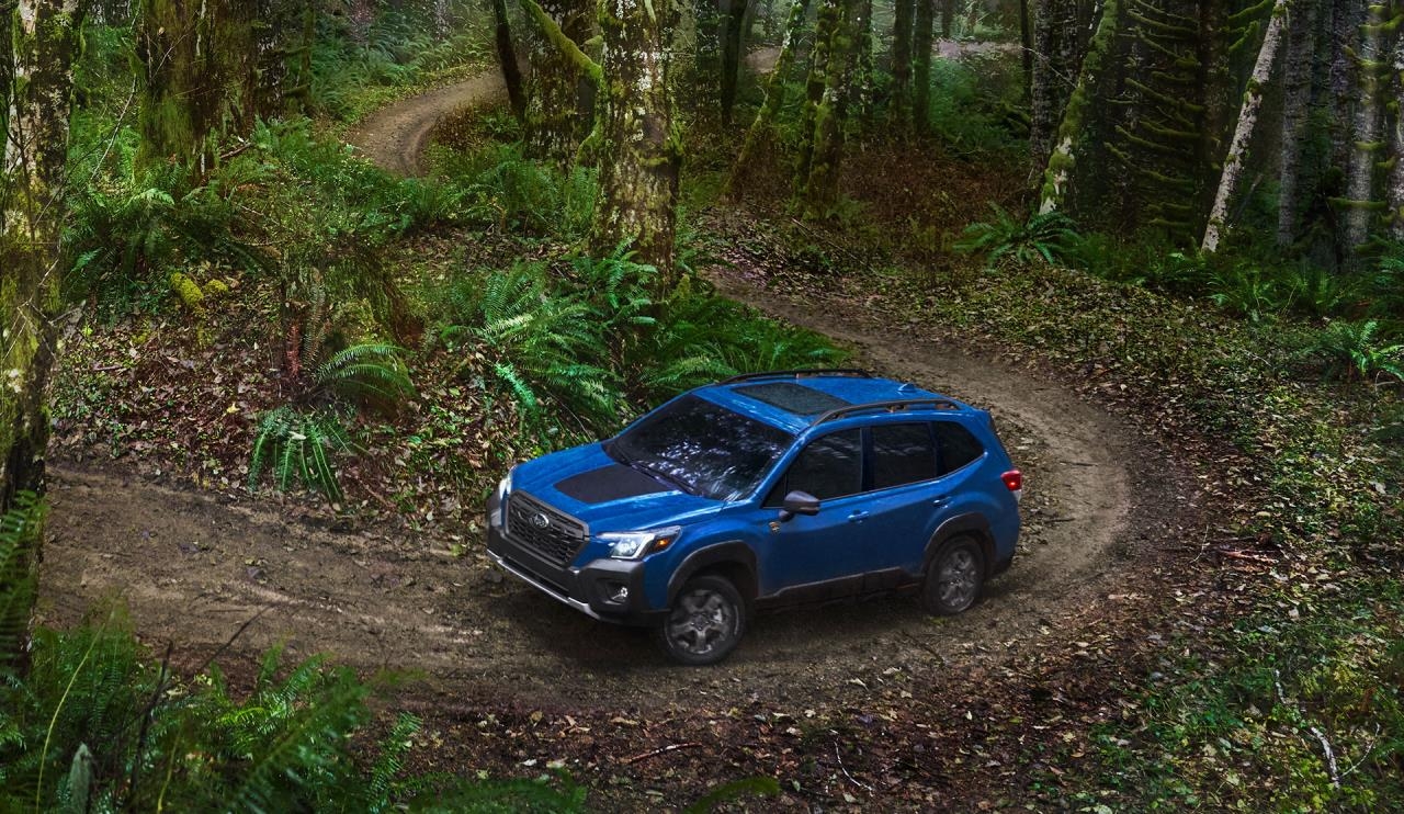 Le Subaru Forester Wilderness 2023 parcourant une piste en forêt.